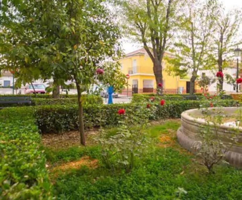Casa Pablo -Granada- Villa ภายนอก รูปภาพ